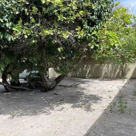 Recanto Das Aroeiras Alcobaça Dış mekan fotoğraf