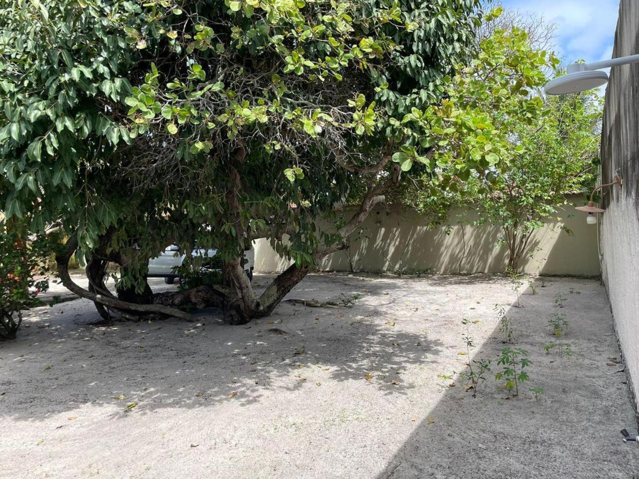 Recanto Das Aroeiras Alcobaça Dış mekan fotoğraf