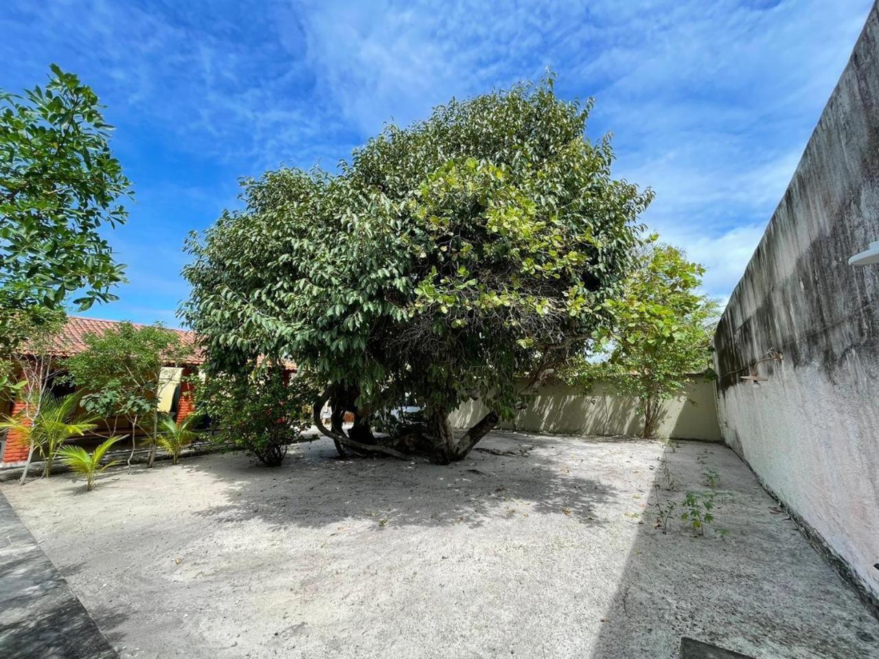 Recanto Das Aroeiras Alcobaça Dış mekan fotoğraf